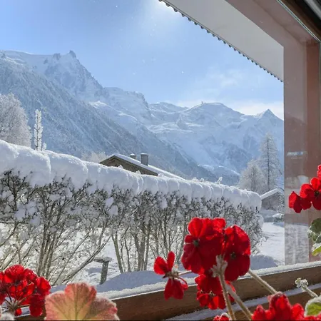 Bright - Near Mont Blanc 公寓